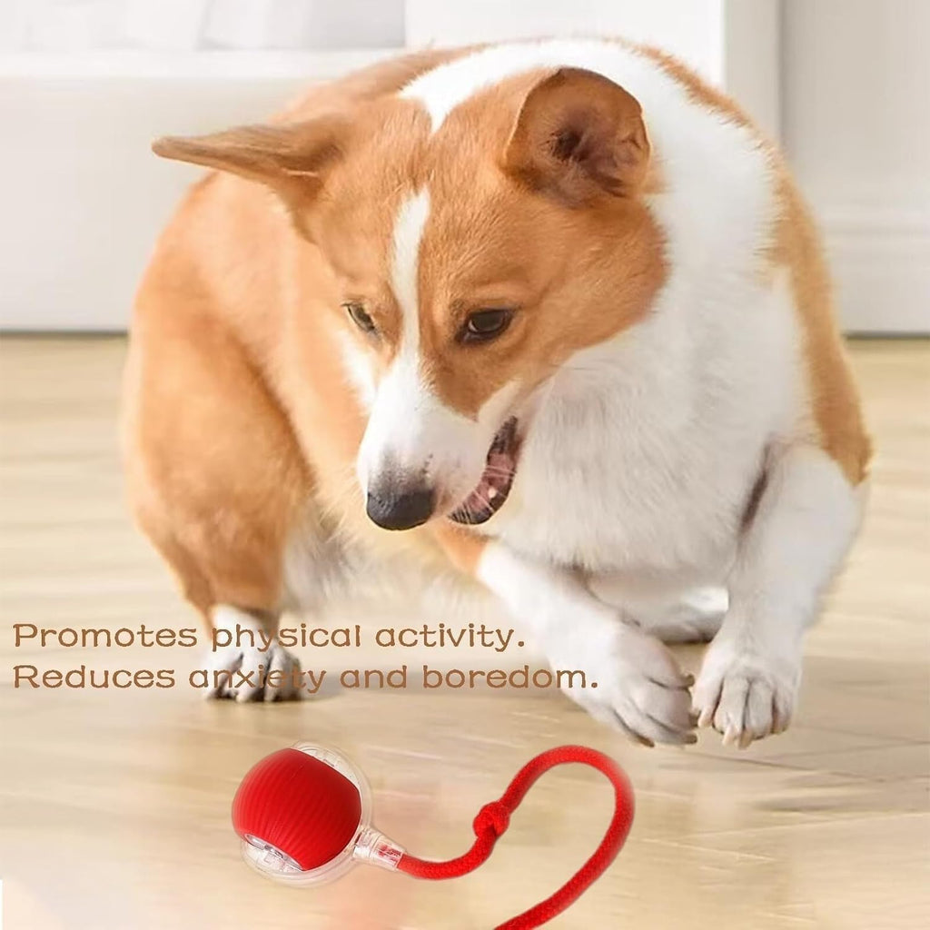 Automatic Rolling Ball Toy for Dogs & Cats – Interactive Dog Ball with LED Light, Rope & USB Charging