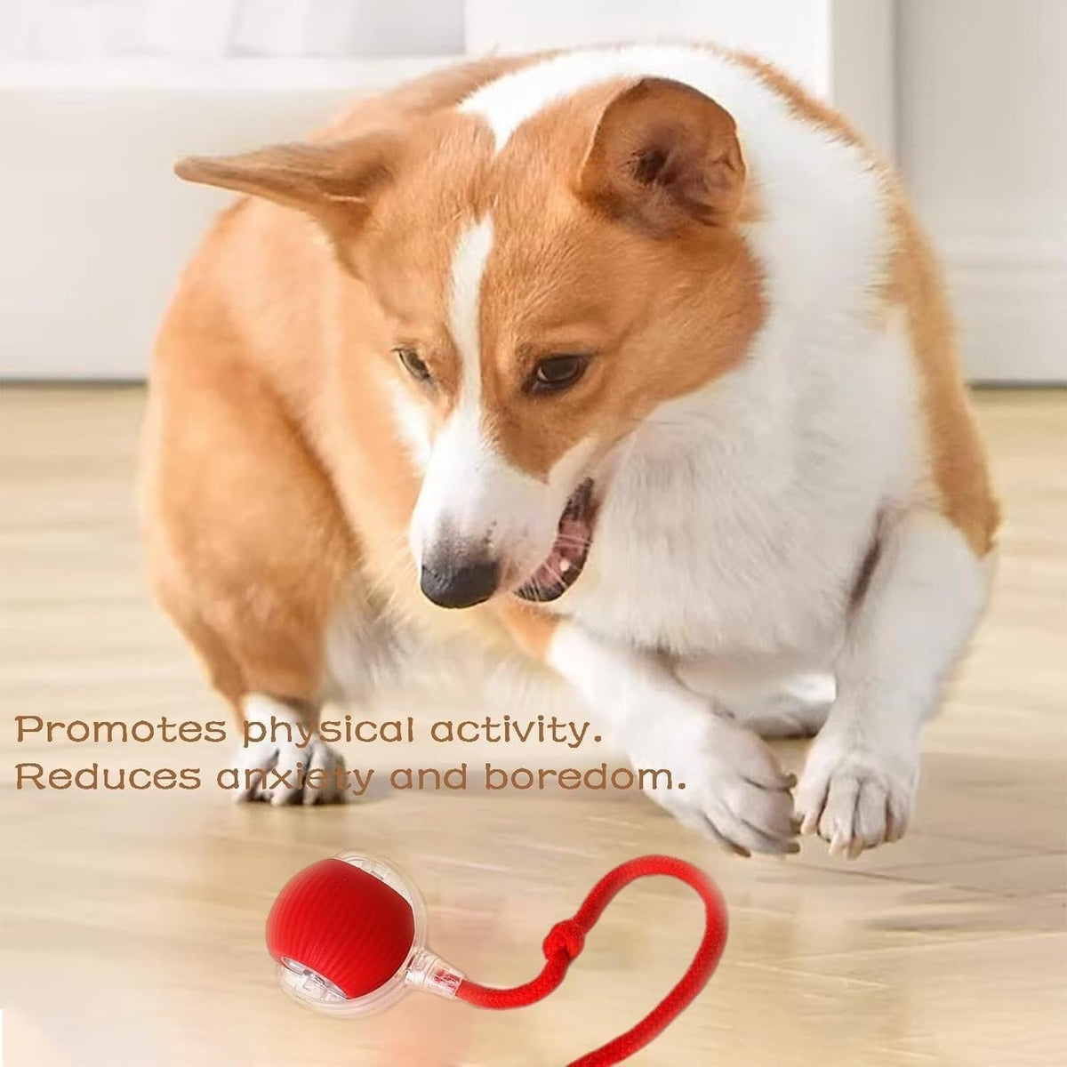 Automatic Rolling Ball Toy for Dogs & Cats – Interactive Dog Ball with LED Light, Rope & USB Charging