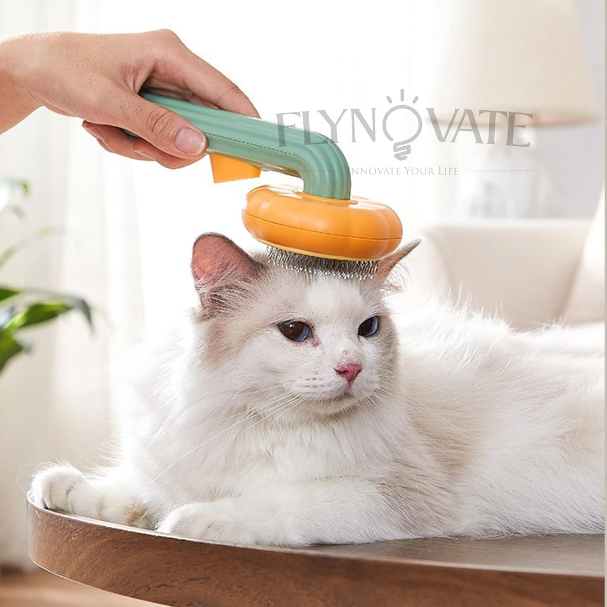 Self-Cleaning Dog Brush for Shedding – Slicker Grooming Brush for Dogs & Cats